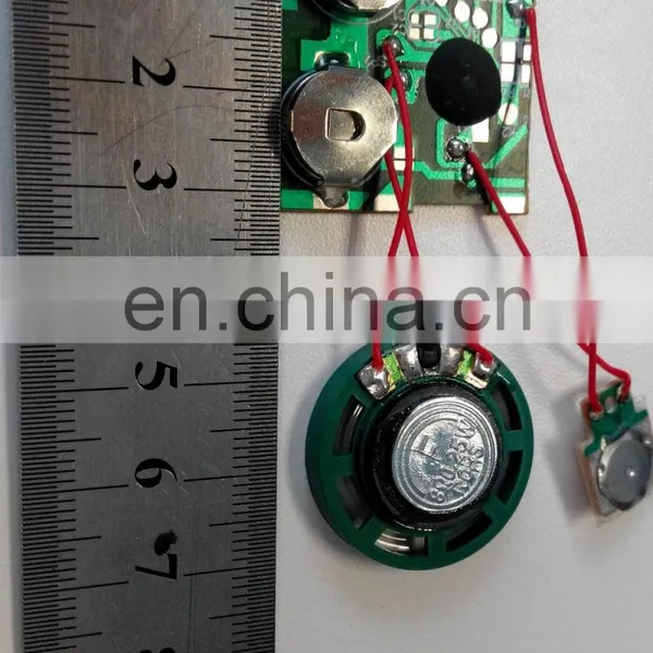 Sound IC Chips for Postcard/Toys photo-3