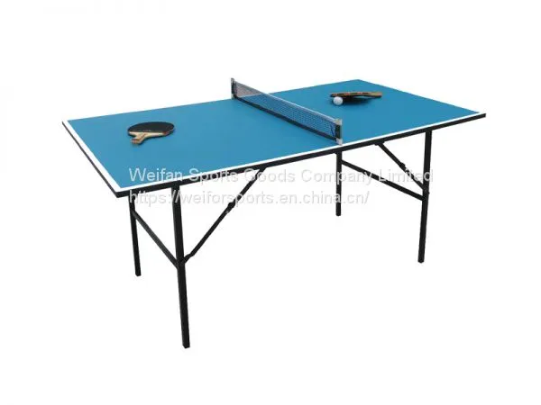 Table Tennis Table