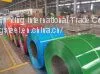 PPGI Coil/RAL5016 /4013/9030 photo-3