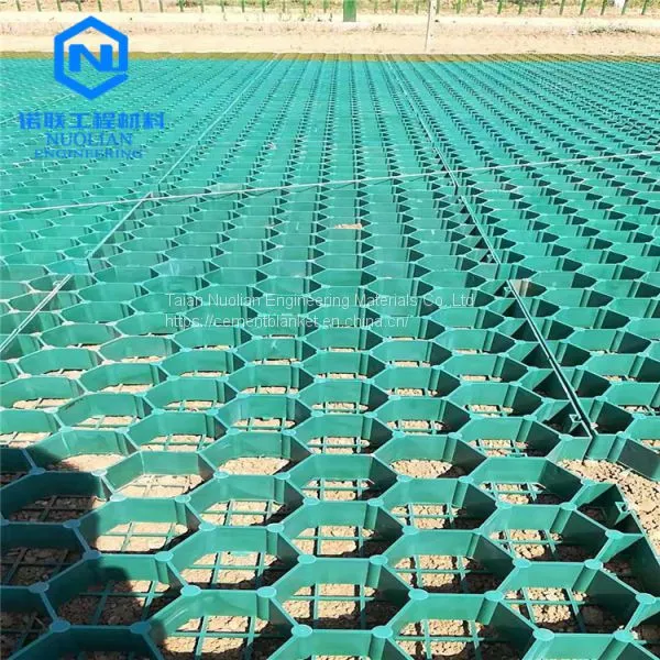 Grass Grid Paver Parking Lot photo-5