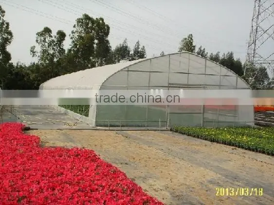 Single Span Commercial Greenhouse for Flowers and Vegetables photo-3