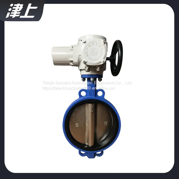 Partial Rotary Electric Actuator DN15 Wafer Butterfly Valve Actuator photo-3