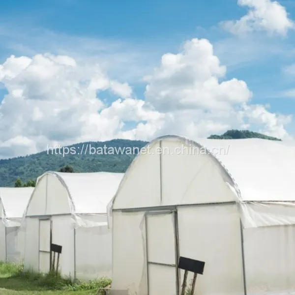 Special Crop Cover Plant Protection Fabric Insect Netting Various Sizes photo-3