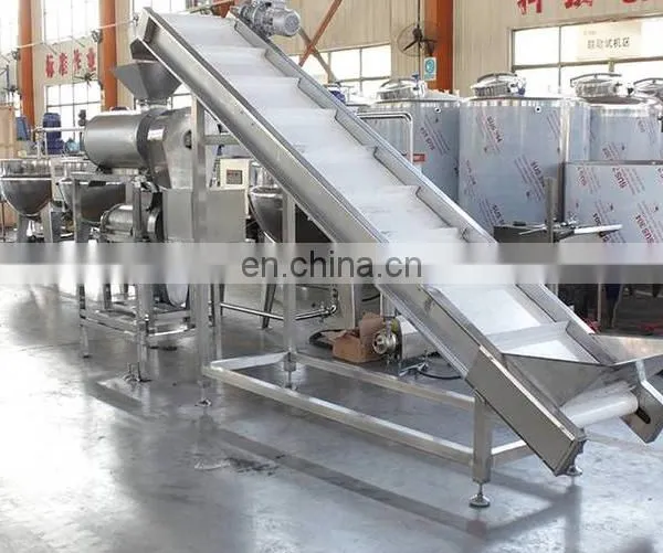 Blueberry Jam Paste Production Line Mango Paste Jam Grape Jam Line photo-2