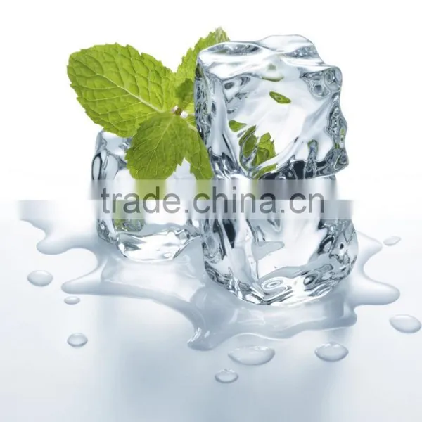 Ice Core Water Bottle Fancy Plastic Water Drinking Bottles Summer Ice photo-2