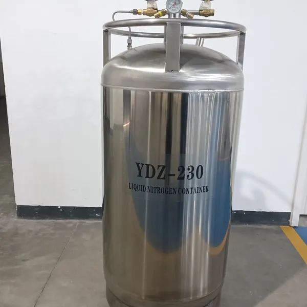 Self Pressurized Liquid Nitrogen Tank YDZ-100 Factory Wholesale Price Discount Fast Delivery