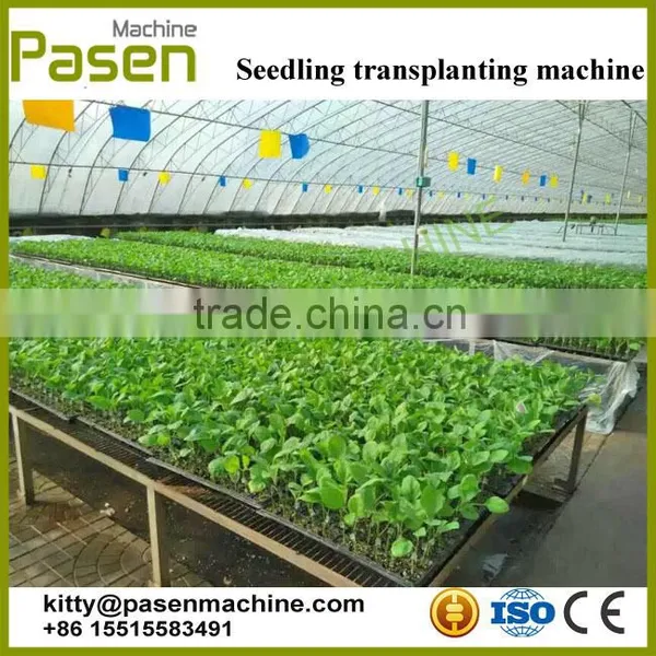 Easy to Operate Vegetable Transplanter | Seeding Machine | Vegetable Transplanting Machine photo-4