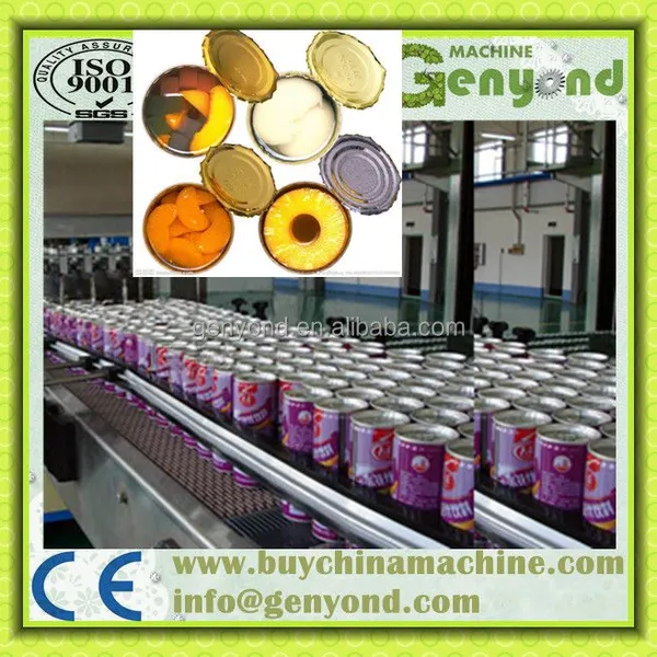 Fruit Canning Machines for Pineapple Mango photo-4