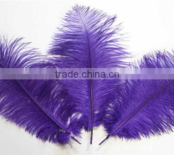 14"-16" Wholesale Purple Ostrich Feather Fabric For Ostrich Feather Fan Decoration photo-4