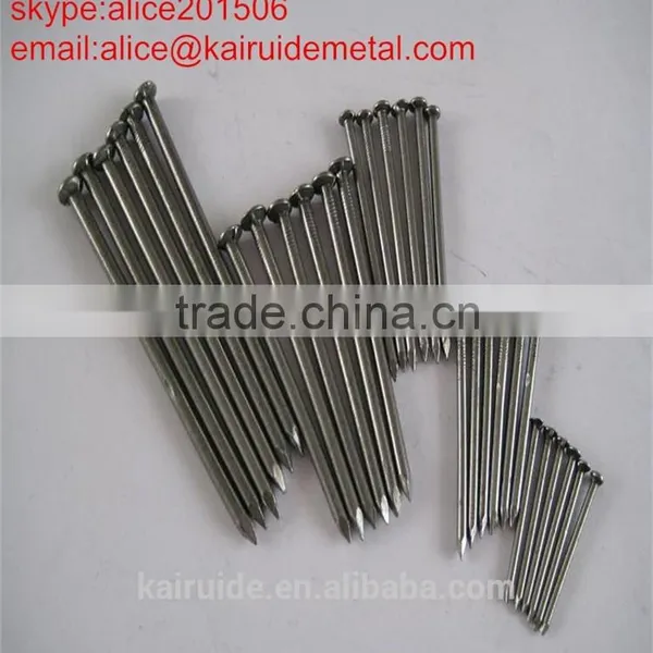 Common Wire Nail/common Iron Nail Factory photo-6