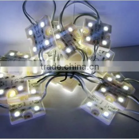 SDSLED Module Led IP65 Natural White DC12V 20PCS SMD5050 Led Module photo-2