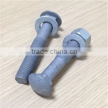 Carriage Bolts Din 603 HDG Color photo-3