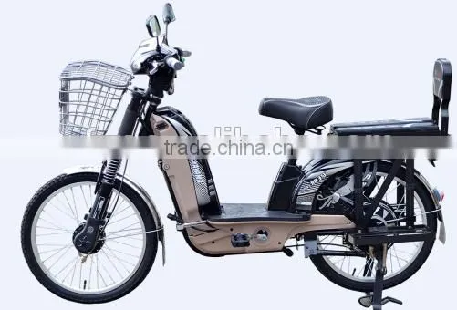 E-bike Lead Acid Battery Electric Bike Bicycle Motorcycle