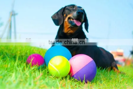 Hollow Rubber Pet Ball ,dog Ball, Hot Sale, Hollow Ball and Solid Ball, Eco-friendly Balls photo-2