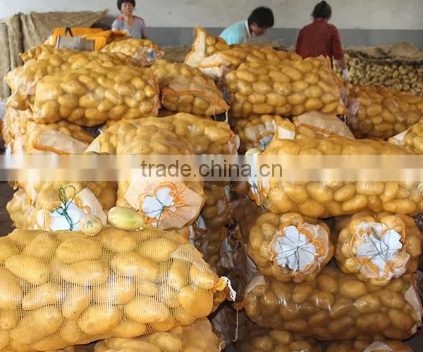 Fresh Potato From Chinese Holland Potato Farms photo-3