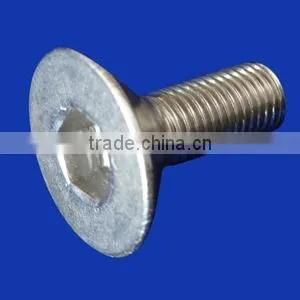 Stainless Steel Bolt