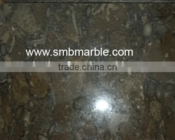 Fossil Limestone Slabs 30X90 at Cheap Rates - Dubai photo-2