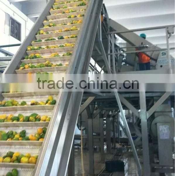 Mango Puree Mango Pulp