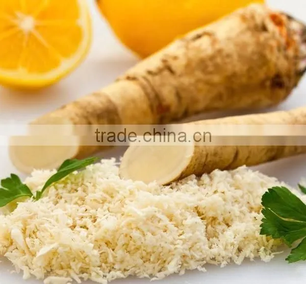 Factory Directly Sale Spicy Horseradish Powder photo-2