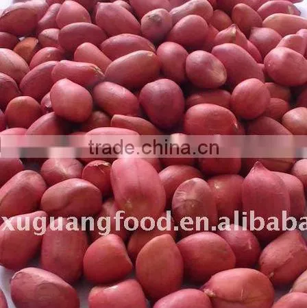 Chinese Factory Peanut Kernels & Blanched Peanut Kernels photo-3