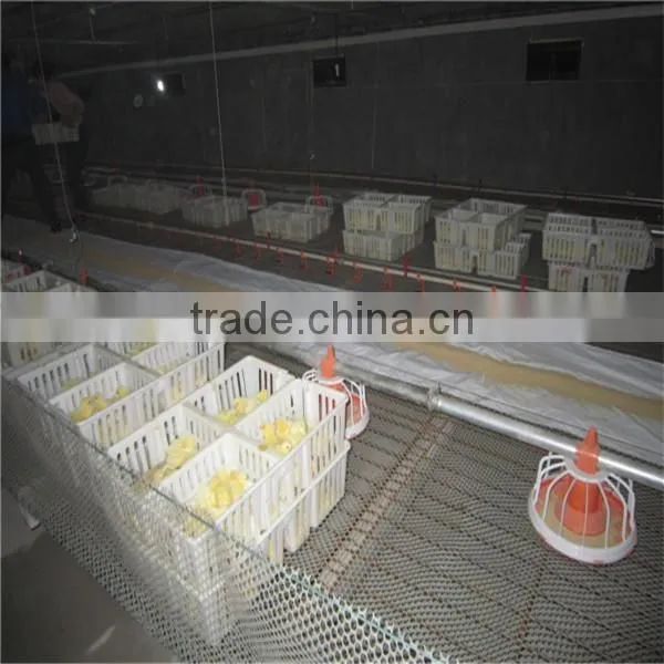 Feeding System for Chicken Farm photo-3
