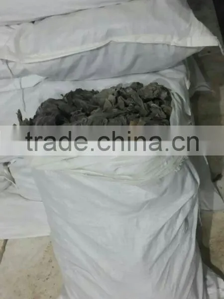 Wholesale Price Abalone Feed Dried Seaweed Sheet|kelp|laminaria Japonica Cut photo-3