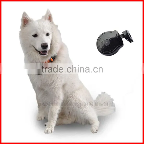 Digital Mini Pet Cam Camera Collar Video Trace DVR Monitor Behavior Dog Cats photo-3