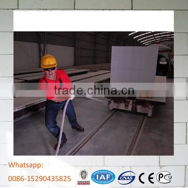 Light Weight Block Making Machine and Autoclaved Aerated Concrete Aac Block Plant photo-5