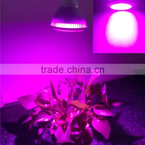 Made In China Led Grow Light Greenhouse Horticulture Used LED Grow Light photo-5