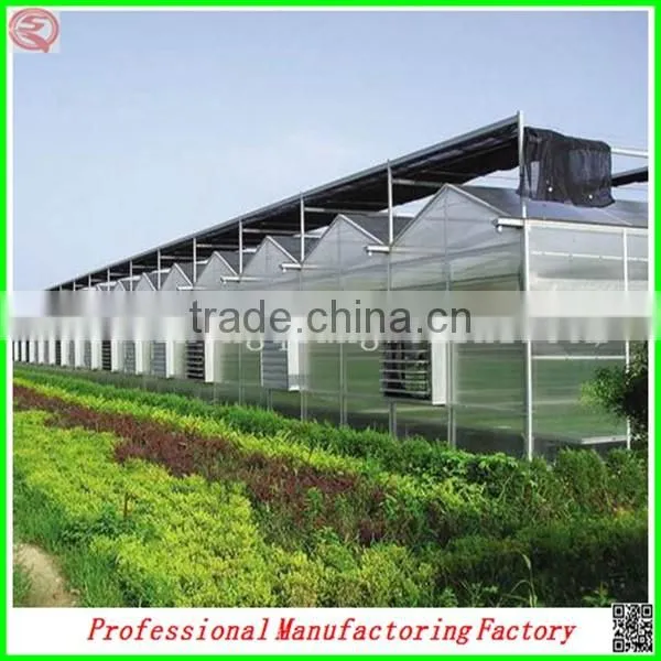Commercial Steel Frame Venlo Polycarbonate Greenhouses With Irrigation System photo-5
