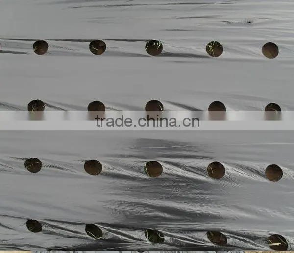 White/silver Effective Mulch Film for Strawberry photo-3