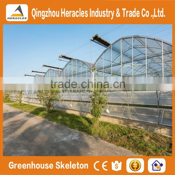 Heracles Trade Assurance Commercial Hydroponics Greenhouse photo-6