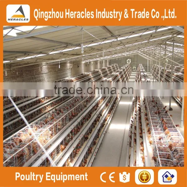 Shandong Heracles Trade Assurance Equipment Poultry A Type Laying Hen Cages for Sale photo-2
