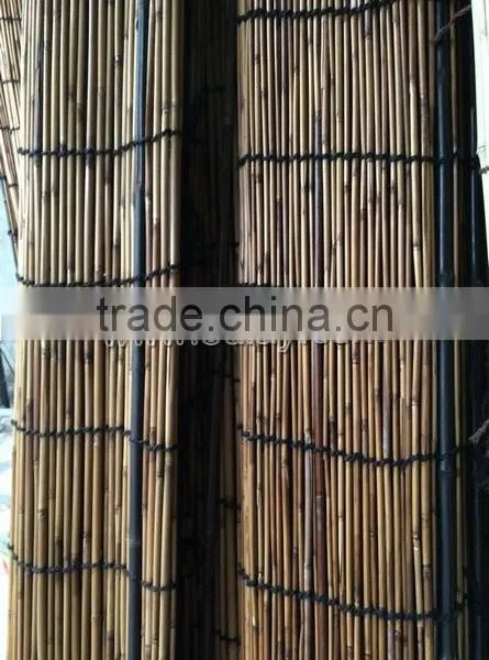 Black Bamboo Sticks/bamboo Canes/bamboo Poles photo-3