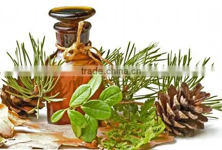 Pine Oil photo-3