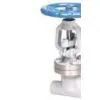 API Forging Globe Valve