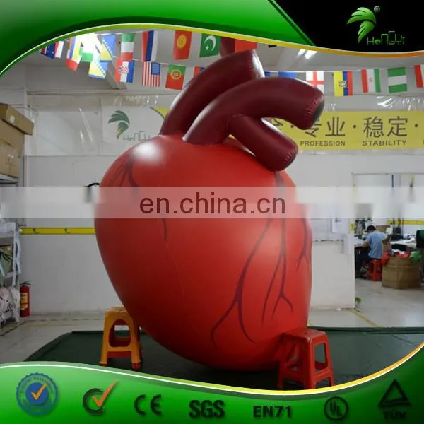 Large Inflatable Heart Organ Replica Balloon Artificial Custom Organ Model Inflatables PVC Advertising Toys Ball photo-2
