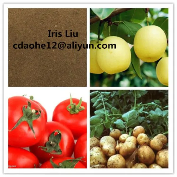52% Amino Acid Fertilizer Powder/Amino Acid/Amino Acid Agriculture/Amino Acid Powder/Organic Fertilizer photo-5