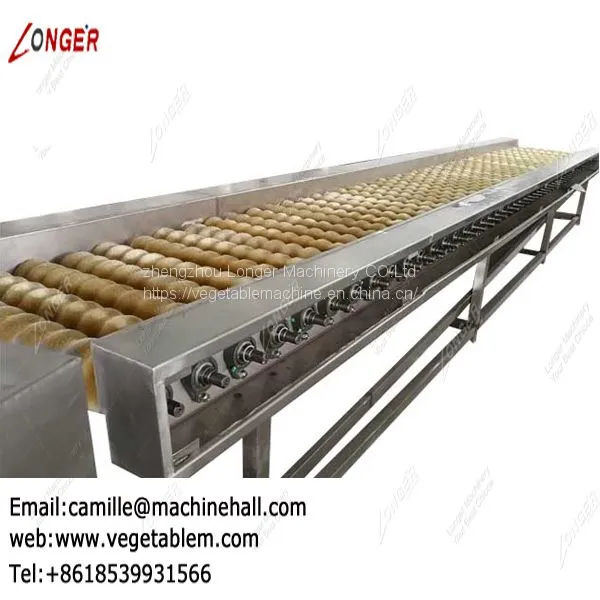Dates Cleaning and Drying Machine|Fruit and Vegetable Cleaner Line|Automatic Dates Washing Line photo-2