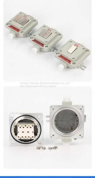 Explosion-proof Wall Switch BQK One Two Three Four Has the Certificate Lighting Switch photo-3