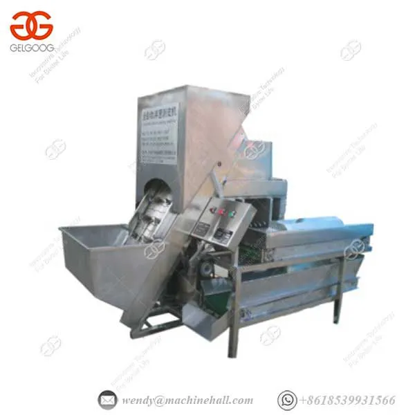 70-80 Pcs/minute Automatic Onion Peeling Machine Fruit Processing Plant photo-2