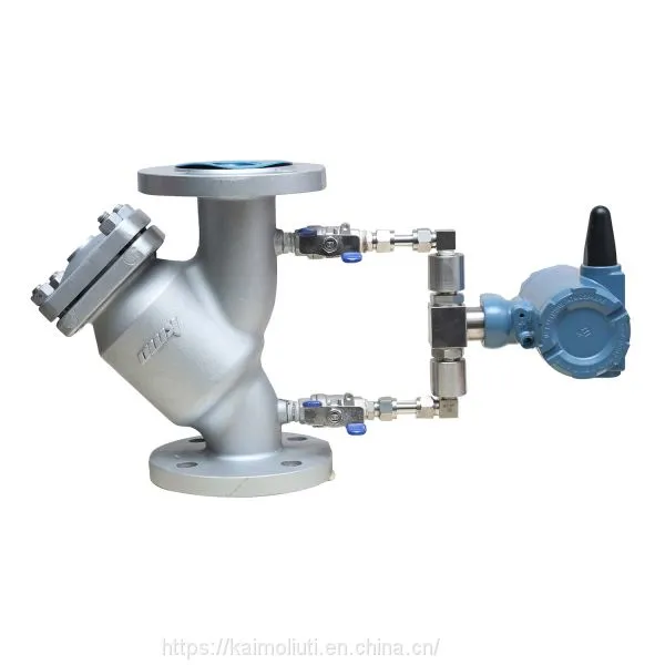 Remotely Controllable Aluminum Alloy Fuel Gas Y Type Strainers photo-5