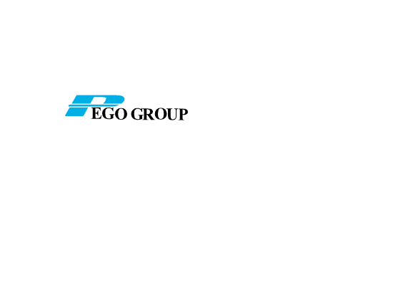 Pego Electronics (Yi Chun) Company Limited