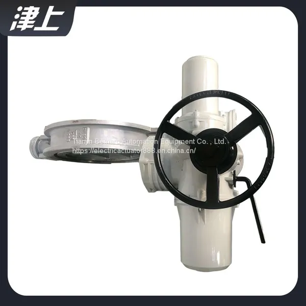 Angular Stroke Electric Actuator DN500 Hard Seal Electric Butterfly Valve Actuator photo-2