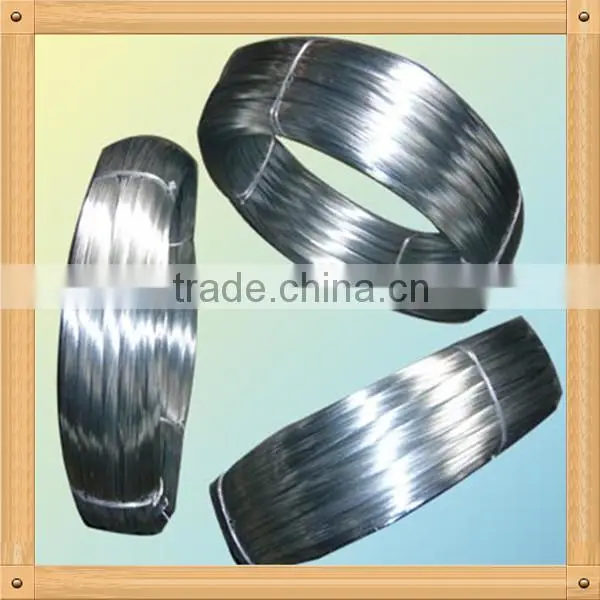 Electro Galvanized Wire photo-5