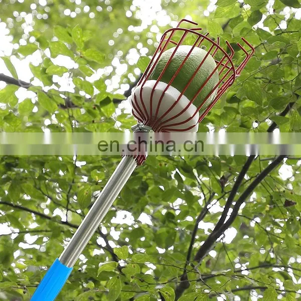 Best Selling 13 Foot Garden Tools Twist on Light Weight Adjustable Telescopic Fruit Picker With Basket and Pole photo-5