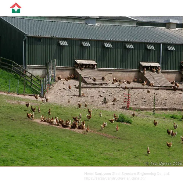 Chicken House Designs for Small Scale photo-4