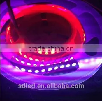 New Arrive Best Selling Ws2812 30leds 220v SMD 5050 Rgb 220v Led Strip Shenzhen photo-2