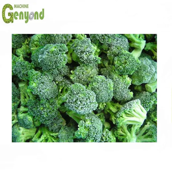 Shanghai Fruit and Vegetable Cold Storage Room photo-2