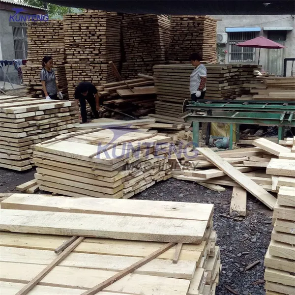Large Scale Wood Board Drying Machine Camphor Walnut Rosewood Date Palm Oak Drying Oven photo-4